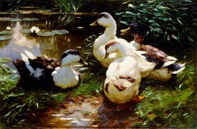 Enten am Flussufer von Alexander Koester