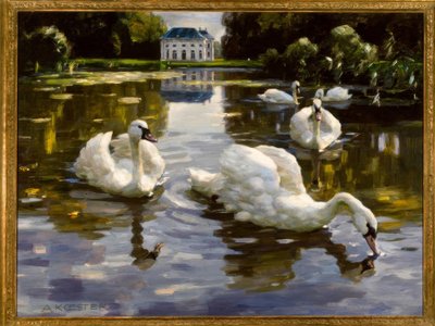 A. Koester, Schwäne in Nymphenburg von Alexander Köster