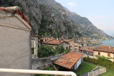 Limone von oben von Alexandra Joseph