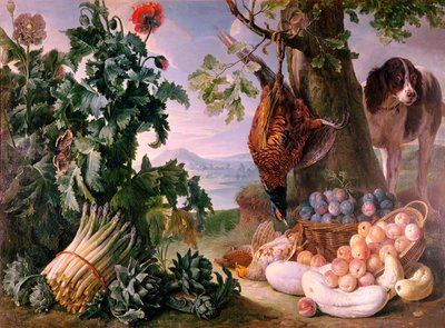 Stillleben mit Spargel von Alexandre Francois Desportes