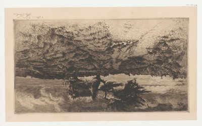 Heidelandschaft von Alexis Forel