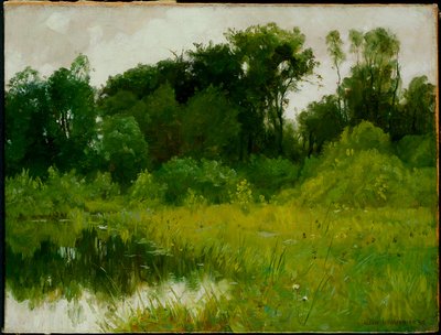 Nach dem Regen, am Minnehaha Creek von Alexis Jean Fournier