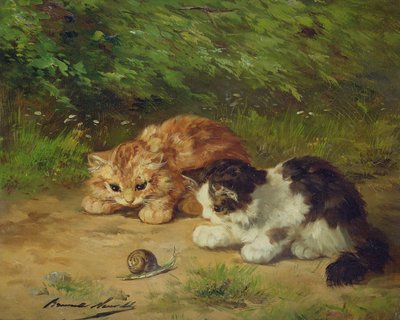 Kätzchen und Schnecke von Alfred Brunel de Neuville
