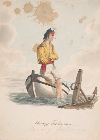 Kanarischer Fischer von Alfred Diston