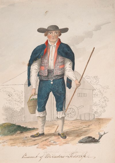 Bauer von Miradero, Teneriffa von Alfred Diston