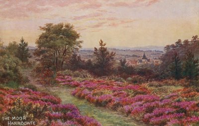 Das Moor, Harrogate von Alfred Robert Quinton