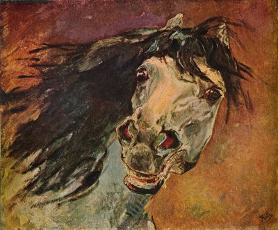 Tete De Cheval Andalou, um 1910 von Alfred Roll