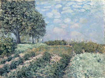 Die Marktgärten von Alfred Sisley