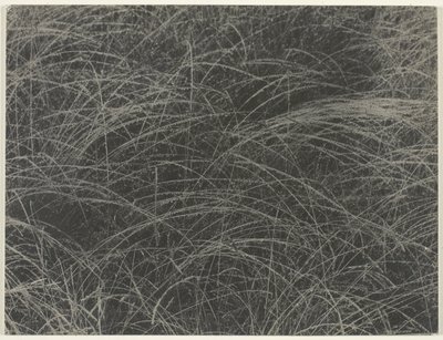 Äquivalent von Alfred Stieglitz