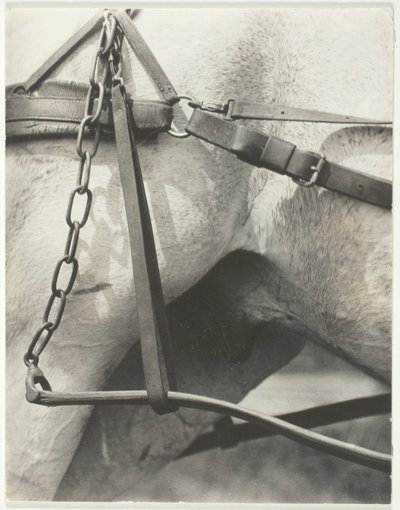 Equivalent, Spirituelles Amerika von Alfred Stieglitz