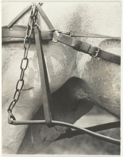 Equivalent, Spiritual America, 1923 von Alfred Stieglitz