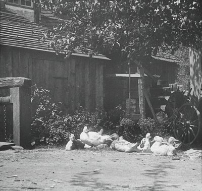 Gutach, 1894 von Alfred Stieglitz