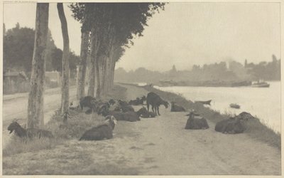 An der Seine—In der Nähe von Paris von Alfred Stieglitz