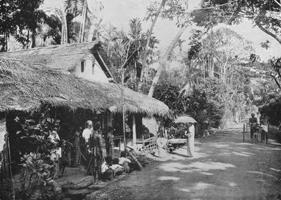 Boralesgamuwa von Alfred William Amandus Plate