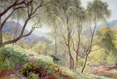 Ullswater vom Gowbarrow Park, 1864 von Alfred William Hunt