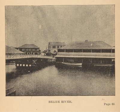 Belize-Fluss von Alice Dixon Le Plongeon