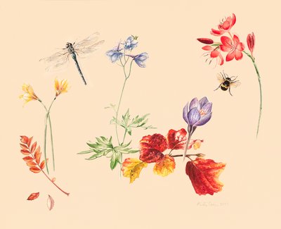 Herbstblumen und Insekten von Alison Cooper