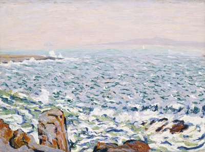 Brandung bricht, Cranberry Island von Allen Tucker