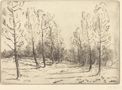 Pappelallee von Alphonse Legros