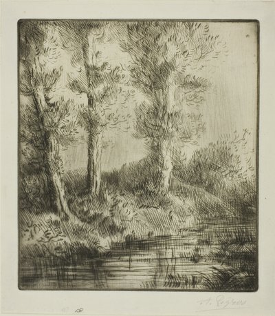 Ufer des Saint-Pré von Alphonse Legros