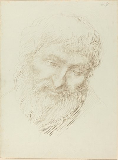 Kopf eines Mannes von Alphonse Legros