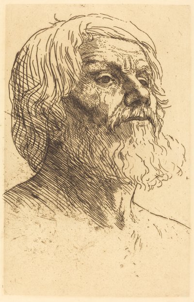 Kopf eines Mannes von Alphonse Legros