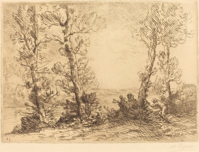 Lachsangler Le pecheur du saumon von Alphonse Legros