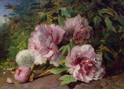 Studie von Pfingstrosen, 1874 von Amedee Baudit