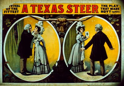 Ein Texas-Steer von American School