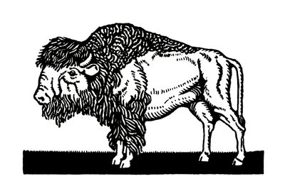 Amerikanischer Bison des Alten Westens von American School