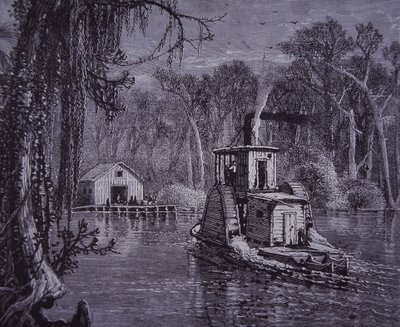 Szene der Everglades in Florida von American School