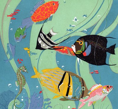 Tropische Salzwasserfische von American School