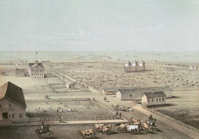 Union Stockyards, Chicago von American School