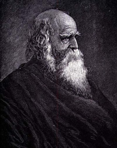 William Cullen Bryant von American School