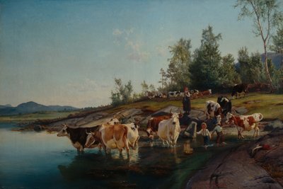 Kühe am Meer von Anders Askevold