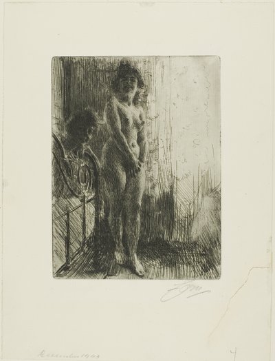 Eine dunkle Ecke von Anders Leonard Zorn