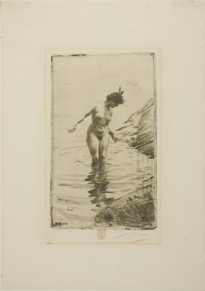 Wasserkreise II von Anders Zorn