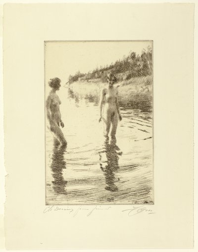 Flach von Anders Leonard Zorn