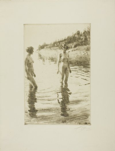 Flach von Anders Leonard Zorn