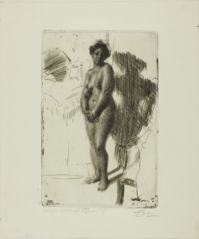 Stehender Schwarzer von Anders Leonard Zorn
