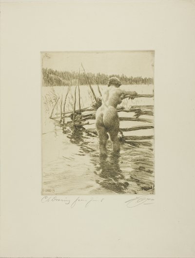 Der Zaun von Anders Leonard Zorn