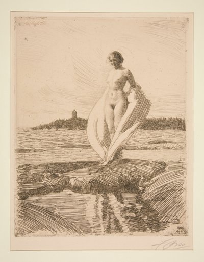 Der Schwan von Anders Leonard Zorn
