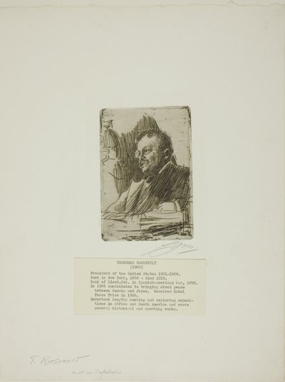 Theodore Roosevelt von Anders Leonard Zorn