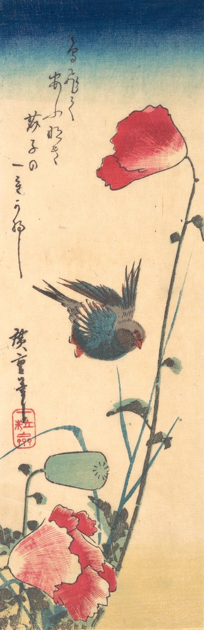 Ein Blaukehlchen und Mohnblumen von Ando Hiroshige