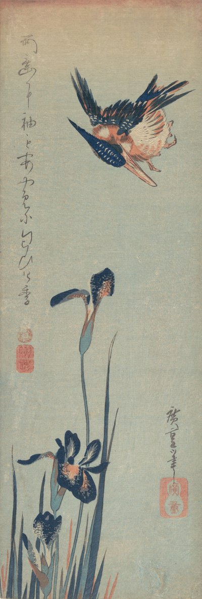 Eisvogel und Schwertlilien, 1832-34 von Ando Hiroshige