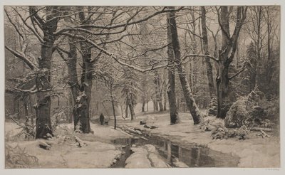 Wintertag im Wald von André Bork