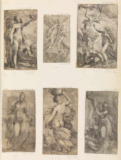 Apollo und Daphne von Andrea Schiavone