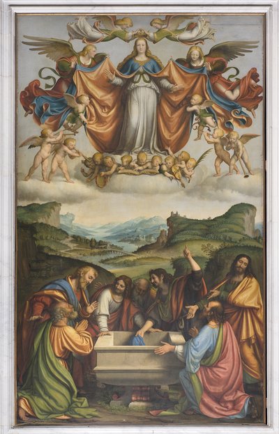 Mariä Himmelfahrt, ca. 1520 von Andrea Solario