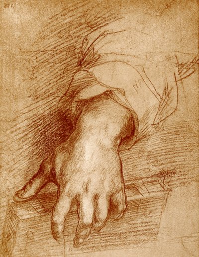 Madonnahand mit Buch von Andrea del Sarto