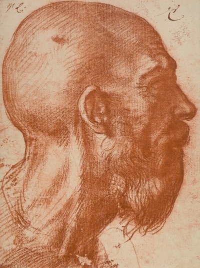 Männerkopf im Profil von Andrea del Sarto